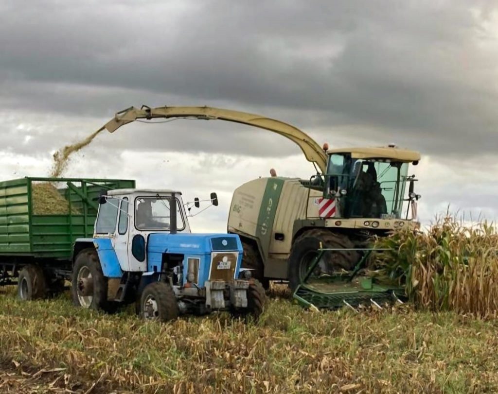 Mähdrescher füllt Traktor mit Anhänger